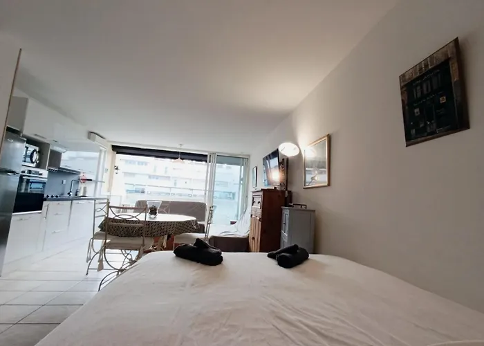 Naturiste Cap D'agde Heliopolis D 78 * Agde